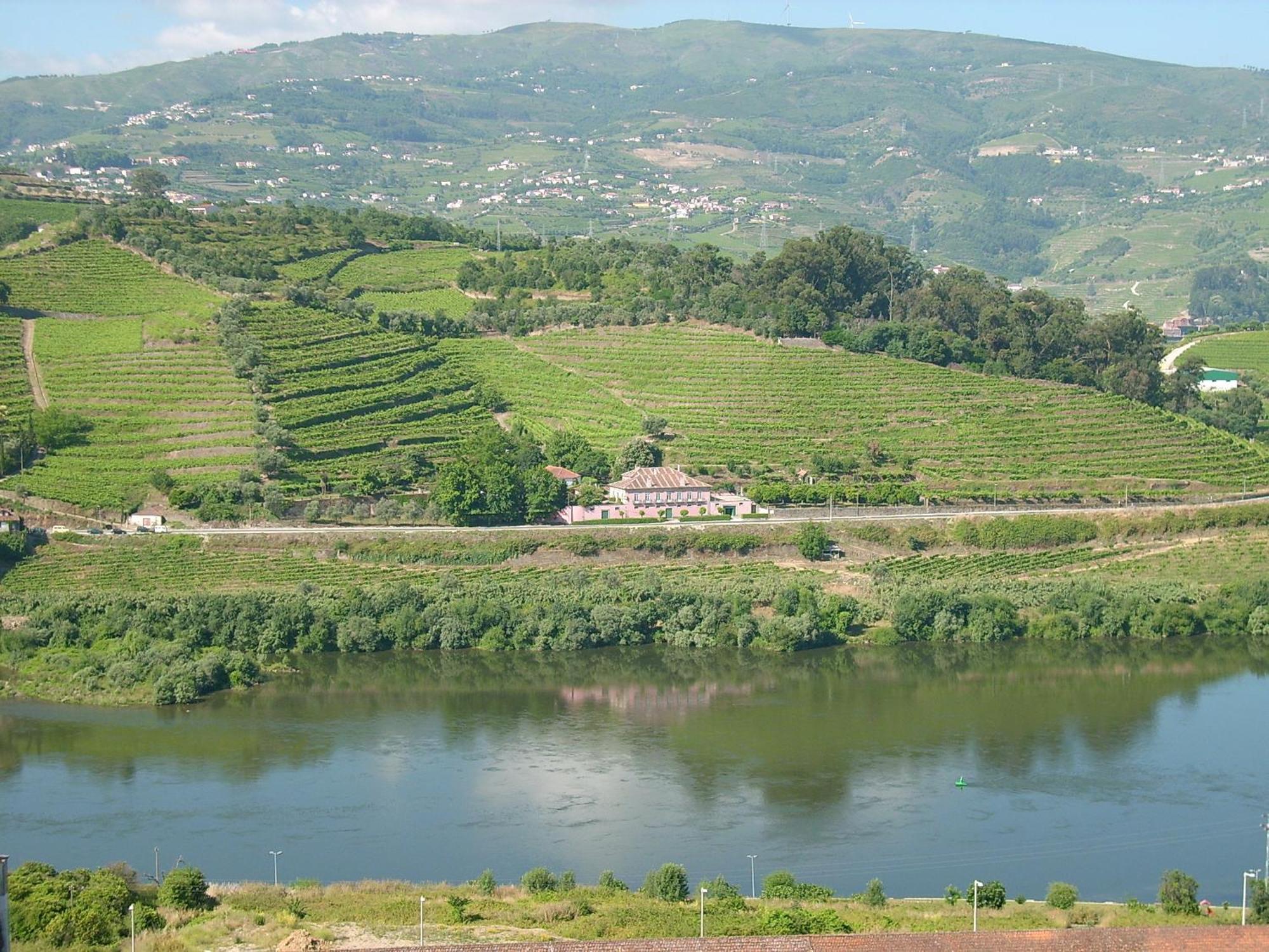 Casa Dos Varais, Manor House Lamego Zewnętrze zdjęcie