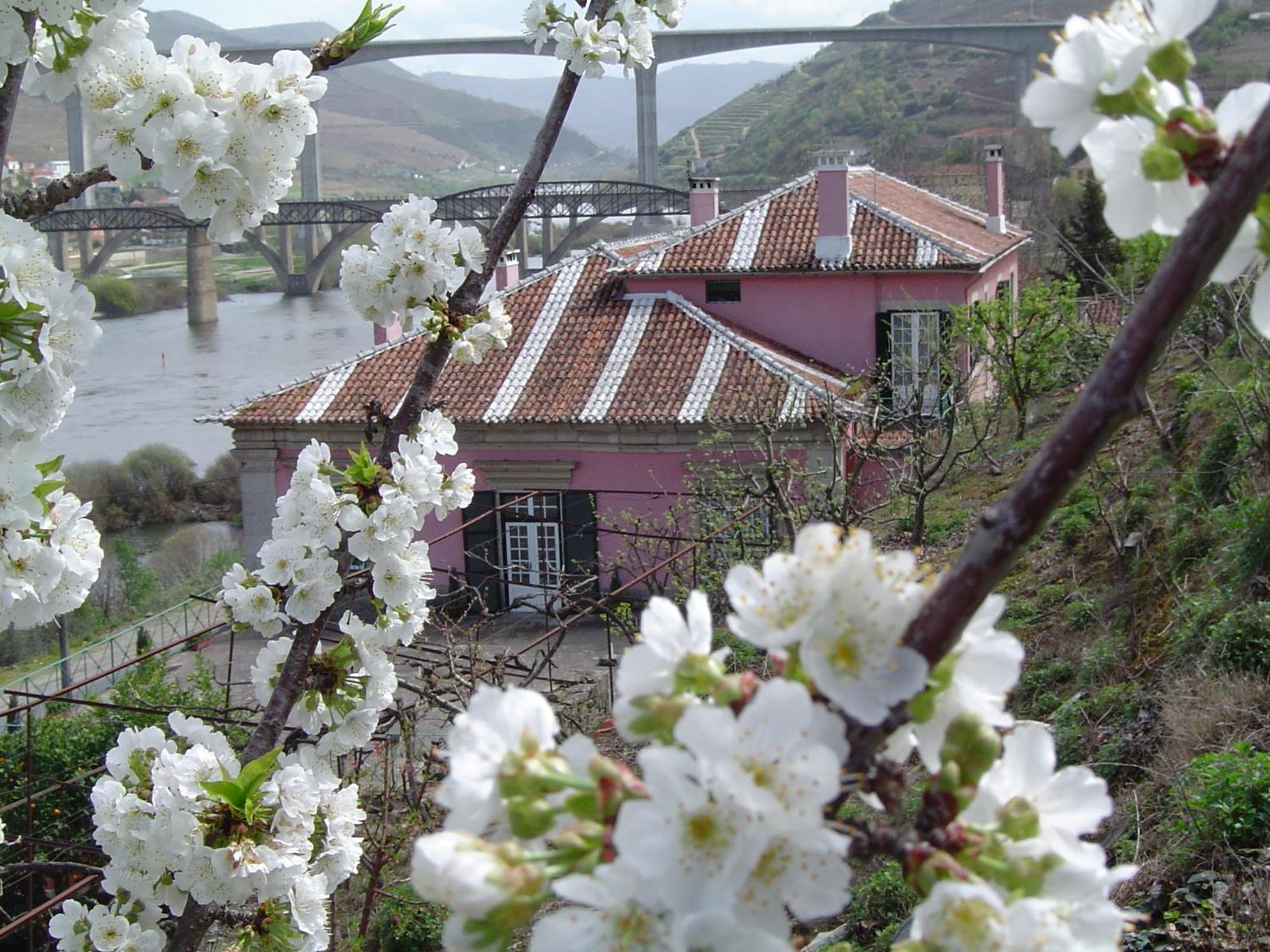 Casa Dos Varais, Manor House Lamego Zewnętrze zdjęcie