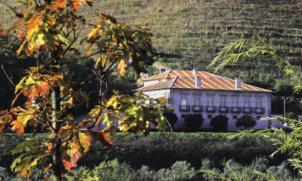 Casa Dos Varais, Manor House Lamego Zewnętrze zdjęcie